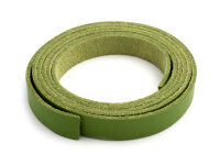 breites Kunstlederband in hellgrün 10 mm 1 m