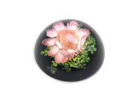 Cabochon aus Harz in schwarz mit echter Blume in zartem...