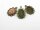 5 Fassungen in antik Bronze für 17,5 x 13,5 mm Klebeperlen