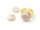 Cabochons aus Acryl als Meeresmuschel 14mm in weiß und braun 10er Set