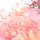 Dekobox mit gefärbten Blumen in rosafarben 1 Stück 
