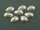 20 Acrylcabochons in perlmutt weiß 2te Wahl, tropfenförmig