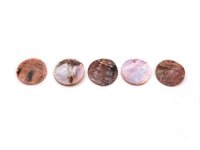 Plättchen aus Perlmutt in pink 15mm 20 Stück
